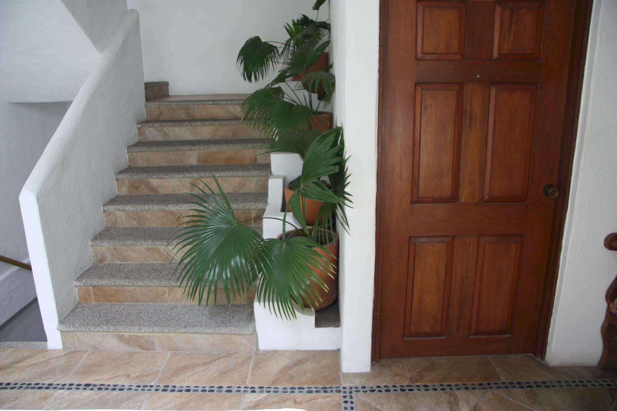 Amapas Apartments Puerto Vallarta (Adults Only) エクステリア 写真