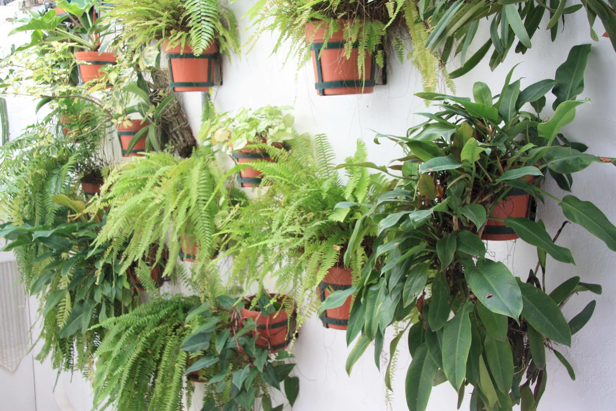 Amapas Apartments Puerto Vallarta (Adults Only) エクステリア 写真